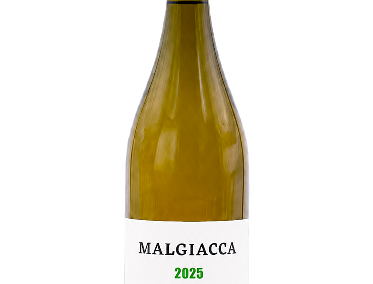 Malgiacca-Bianco-2025
