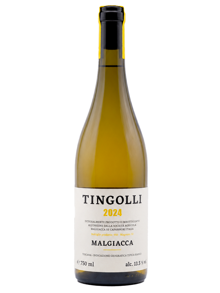 Tingolli