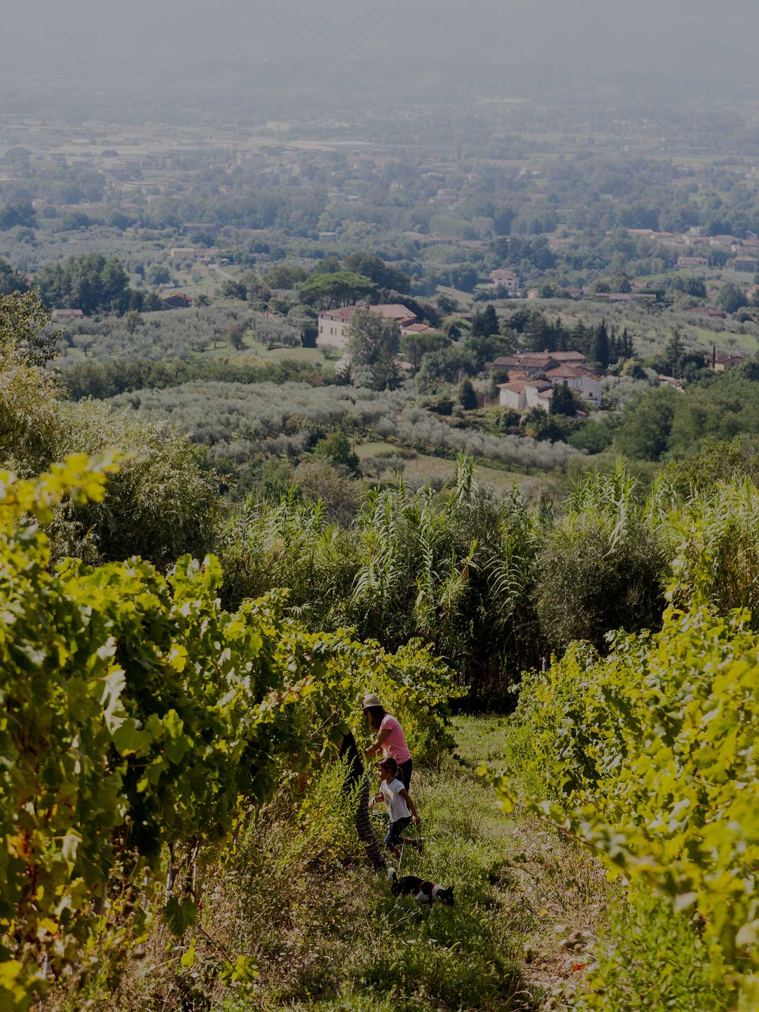 Il Paesaggio — Malgiacca